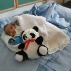 بالصور.. مركز بلدي الخليل ينظم فعالية في مستشفى المدينة الحكومي