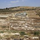 بالصور: العمل الزراعي