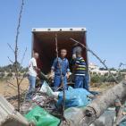 اتلاف 3 أطنان مواد مخدرة بقيمة 50 مليون شيقل في الخليل