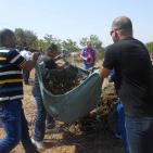 اتلاف 3 أطنان مواد مخدرة بقيمة 50 مليون شيقل في الخليل