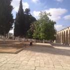 الاحتلال يفرض قيودا مشددة على دخول الاقصى