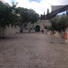 الاحتلال يفرض قيودا مشددة على دخول الاقصى