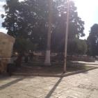 الاحتلال يفرض قيودا مشددة على دخول الاقصى