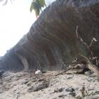 البدء بالمرحلة الثالثة من مشروع مسبح ومنتزه بلدية علار الوطني في محافظة  طولكرم