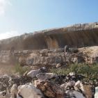 البدء بالمرحلة الثالثة من مشروع مسبح ومنتزه بلدية علار الوطني في محافظة  طولكرم