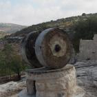 البدء بالمرحلة الثالثة من مشروع مسبح ومنتزه بلدية علار الوطني في محافظة  طولكرم