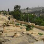 شباب سلوان في القدس المحتلة  ينظفون مقبرة باب الرحمة