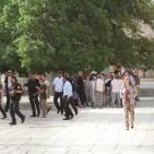 المحتلون يحمون اقتحام الارهابيين المتطرفين للاقصى اليوم الاحد