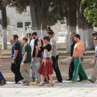 جرحى  مقدسيون بسياط وبنادق الارهابيين الاسرائيليين  في المسجد الاقصى اليوم الاحد 13-9-2015