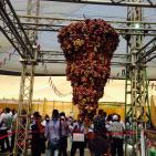 مهرجان العنب في الخليل