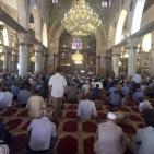 القدس المحتلة  اليوم  18/9/2015