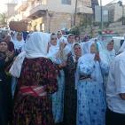 فعاليات متنوعه في مهرجان المفتول  في بير زيت  والعرس الفلسطيني يتصدره