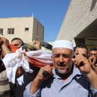 شهيد الخليل ضياء التلاحمة