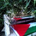 في قرية تل _ قضاء نابلس تزيين قبور الشهداء بعلم فلسطين