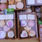 مهرجان صفا العاشر للثقافة و الفنون