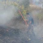 بالصور: الدفاع المدني يسطير على حرائق تسبب بها المستوطنون في نابلس