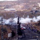 مواجهات بين طلبة بيرزيت وقوات الاحتلال عند مدخل البيرة الشمالي