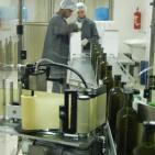 سليم ابو غزالة: توقعات بتراجع انتاج زيت الزيتون هذا العام