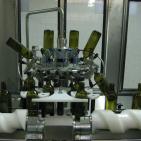 سليم ابو غزالة: توقعات بتراجع انتاج زيت الزيتون هذا العام