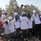 سليم ابو غزالة: توقعات بتراجع انتاج زيت الزيتون هذا العام