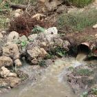 وادي المطوي كابوس مرعب يؤرق محافظة سلفيت