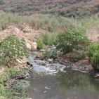 وادي المطوي كابوس مرعب يؤرق محافظة سلفيت