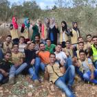 نابلس: النجاح التطوعية تُنظم نشاطاً تطوعياً بقطف الزيتون في تل