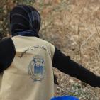 نابلس: النجاح التطوعية تُنظم نشاطاً تطوعياً بقطف الزيتون في تل