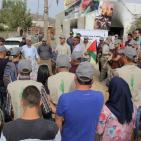 متطوعون يشاركون أهالي دوما بنابلس قطاف الزيتون