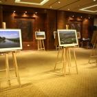 المصورة رومية تفتتح معرضا تحت عنوان 