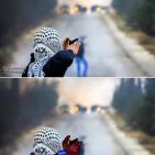 الفنانه زغلول جسدها هناك وروحها في فلسطين ىلارؤ والمقاوم في مخيلتها