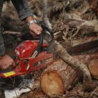 الاستعداد للشتاء