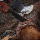 الاستعداد للشتاء