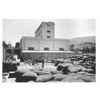 مطحنة نابلس.. إرث بناه الأجداد وهدمه الاحفاد