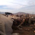 في موقع الحديدية في الاغوار الشمالية قوات الاحتلال  تستهدف مضارب ابو صقر واولاده