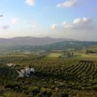 عرابة تتجه نحو اقامة متحف وطني في قصورها الاثرية