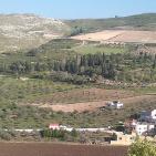 عرابة تتجه نحو اقامة متحف وطني في قصورها الاثرية