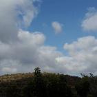 عرابة تتجه نحو اقامة متحف وطني في قصورها الاثرية