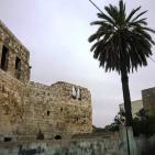 عرابة تتجه نحو اقامة متحف وطني في قصورها الاثرية