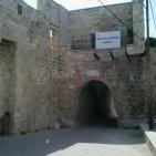 عرابة تتجه نحو اقامة متحف وطني في قصورها الاثرية