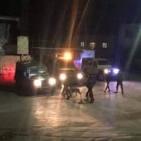 صور: قوات الاحتلال تقتحم بلدة كفل حارس