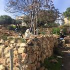 الاحتلال يهدم منزلا يعود لعائلة دياب في القدس المحتلة