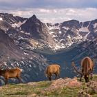 صور الطبيعة في العالم