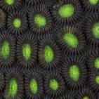 صور الطبيعة في العالم