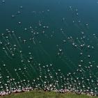 صور الطبيعة في العالم