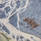 صور الطبيعة في العالم