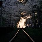 صور الطبيعة في العالم