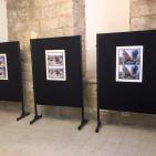 إفتتاح معرض 