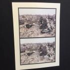 إفتتاح معرض 