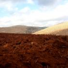 فلاحة الارض وزرعها في المرتفعات المطلة على الاغوار